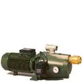 White International DAB-300MP Cast Iron Pump C/w Pressure Switch & Gauge Farm Pumps