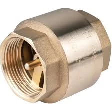 Advanced Industrial Products Brass Spring Check Valves 63mm Heavy Duty Brass Spring Check Valve