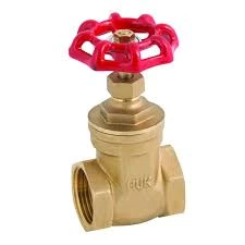 Advanced Industrial Products 20mm Brass Gate Valve (Untested)