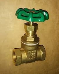 Advanced Industrial Products 50mm Brass Gate Valve Tested