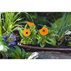 Toro Australia Pty. Ltd 13mm Toro Drip-Eze PC 2 Lph @ 30cm Spacing Dripline