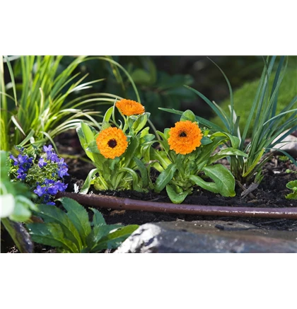 Toro Australia Pty. Ltd 13mm Toro Drip-Eze PC 2 Lph @ 30cm Spacing Dripline